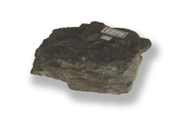 M 07478
<br/>
<br/>
<em></em>